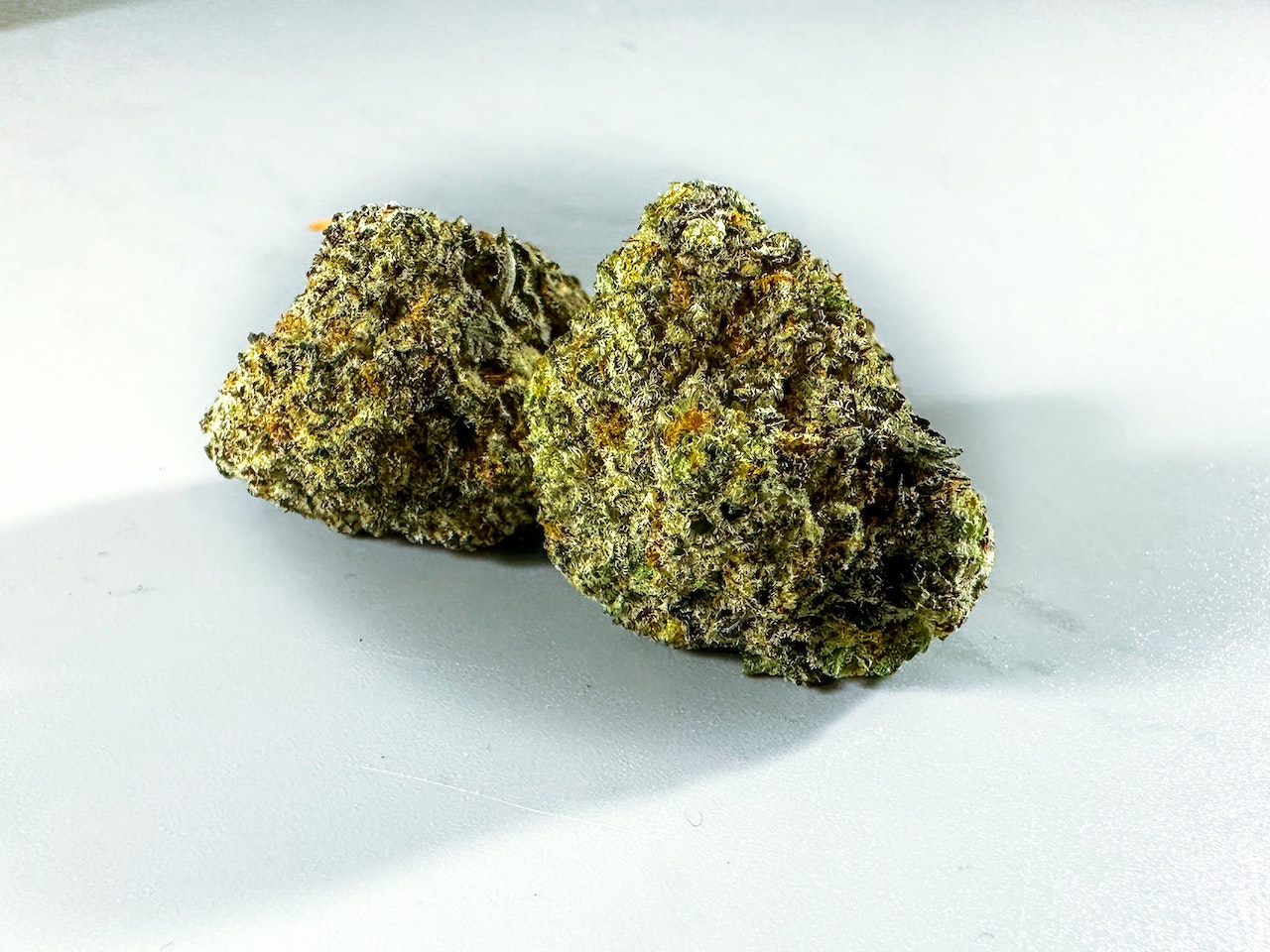 Dosidos strain