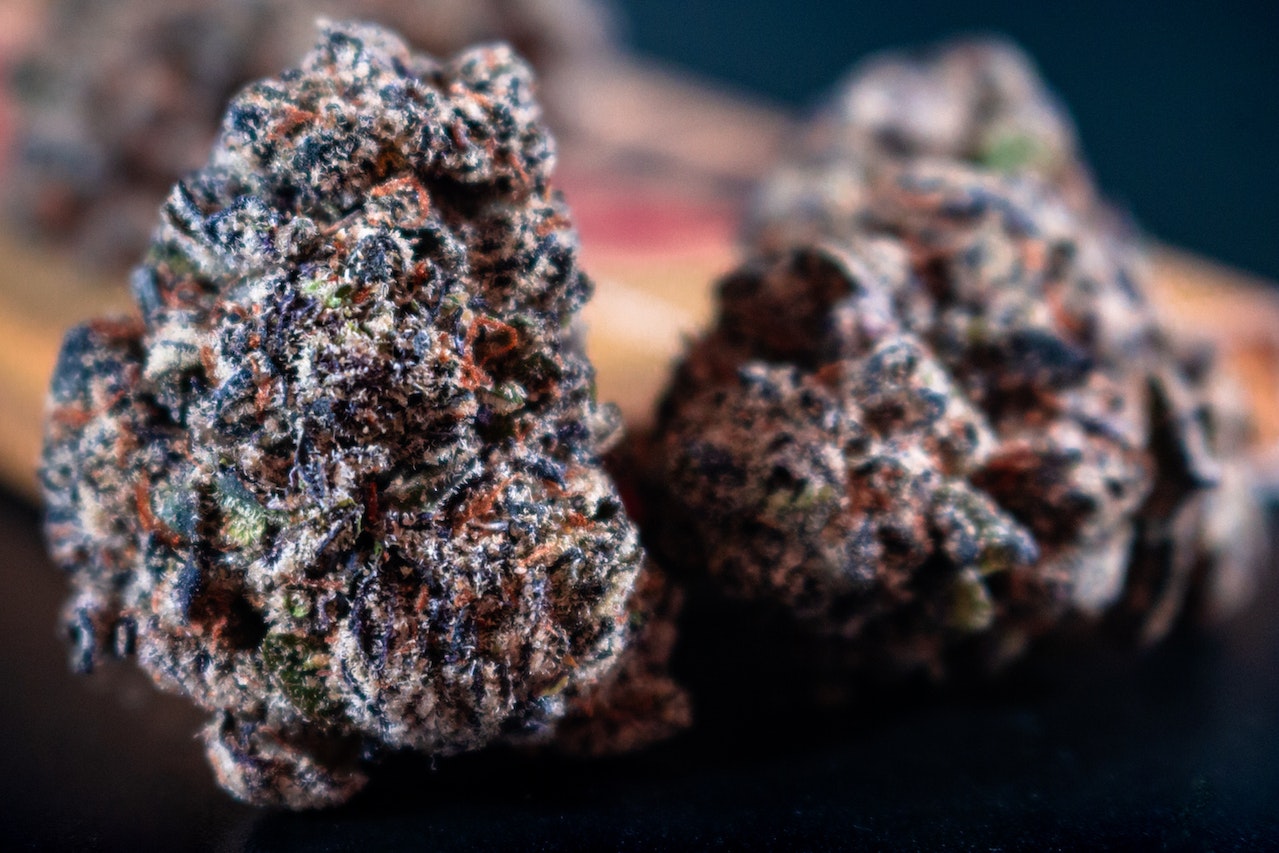 purple weed strains