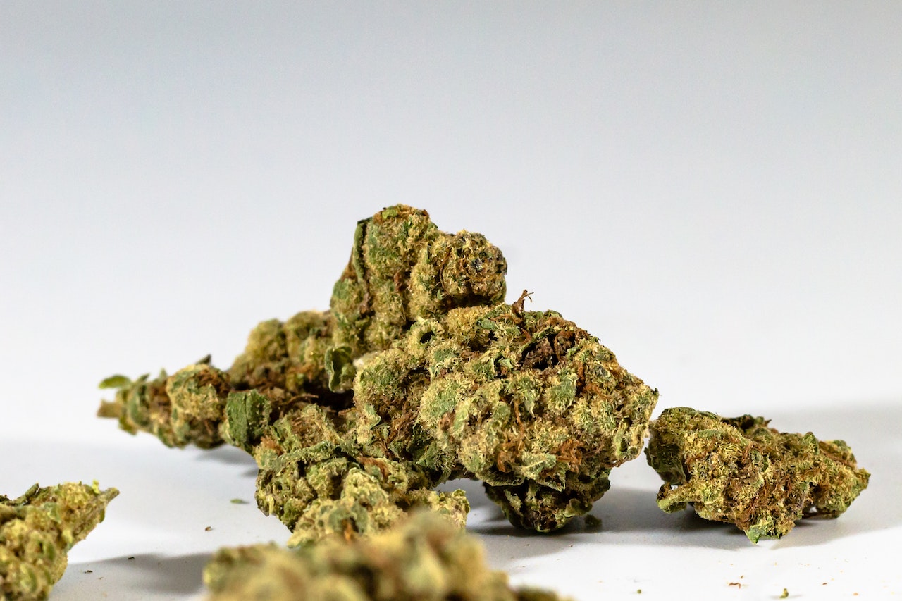 Durban poison strain