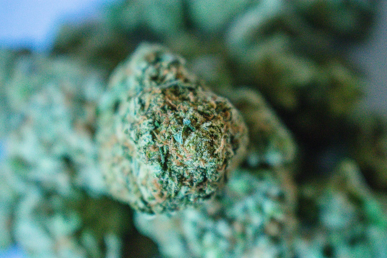 apple tartz strain