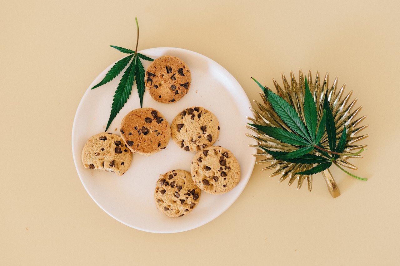 Best Edibles for Cancer Patients