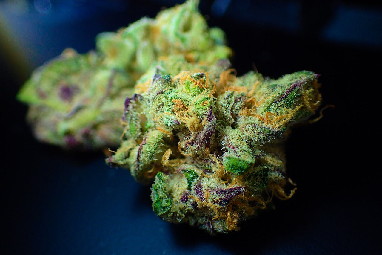 top 6 fruity strains